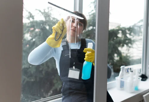 Nettoyage de vitres intérieures et extérieures à Escales